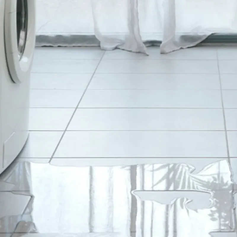 Appliance Leak Cleanup in Canterbury, NH