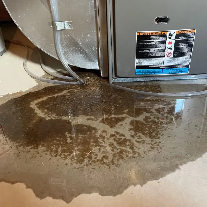Pipe Burst and Leak Restoration in Canterbury, NH