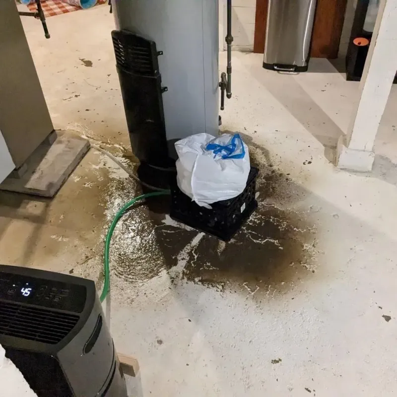 Sewage Backup Cleanup Service in Canterbury, NH